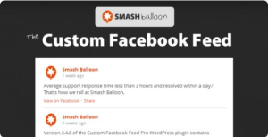 Custom Facebook Feed Pro