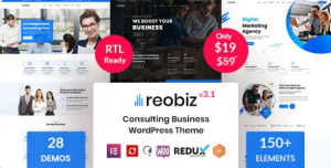 Reobiz Consulting Business Theme