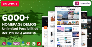 Soledad Multi-Concept AMP Theme