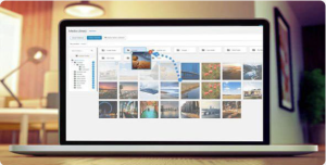 WP Media Folder Plugin